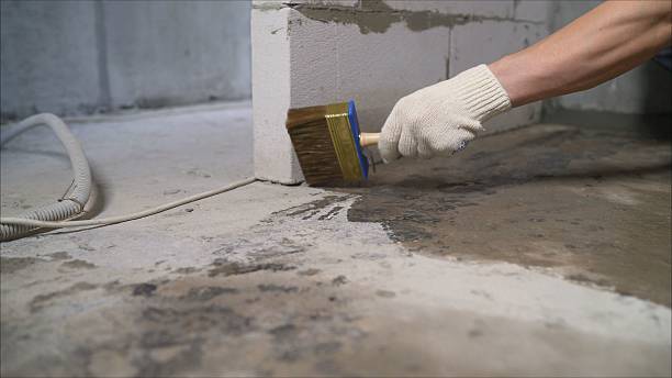 24/7 Emergency Wet Basement Repair experts in Lakeside, OR